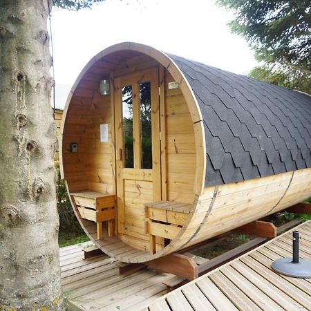 Вилла Le Nordik Chalet 3Etoiles Sauna Privatif Jardin Сен-Пьер-Дель-Форса Экстерьер фото